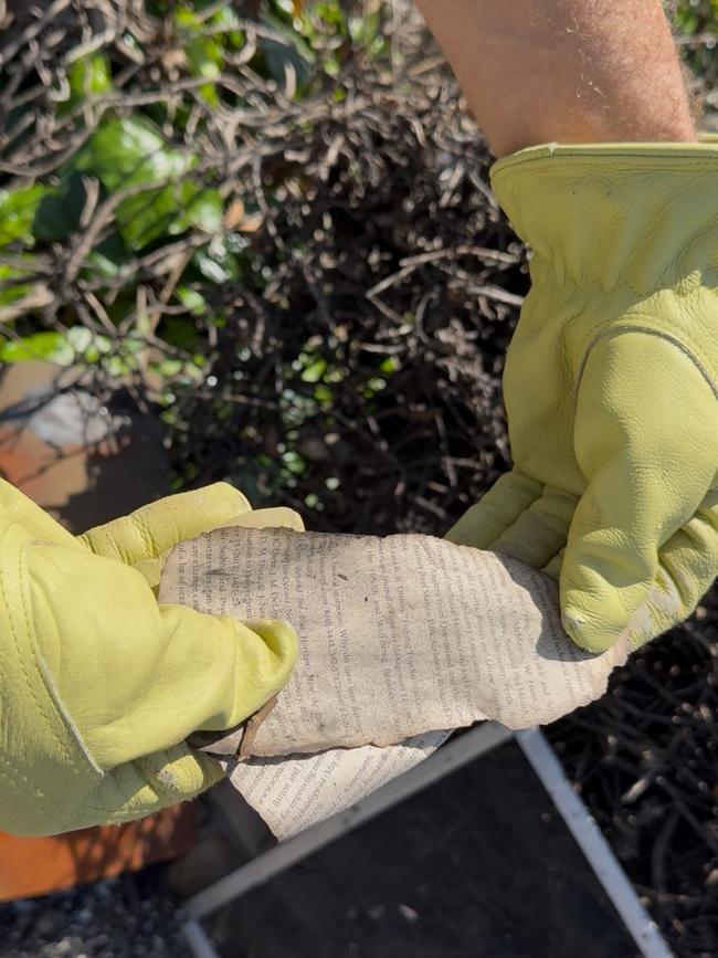 Ben Rigby discovers charred pages from his books in a hedge at the site of his apartment destroyed in the Palisades wildfire.