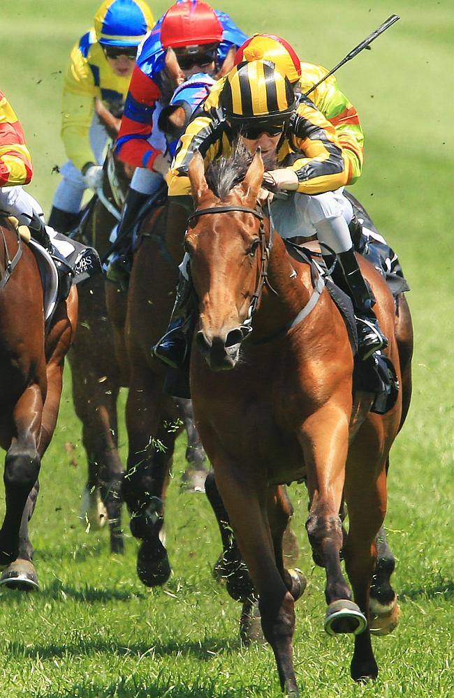 Alpha Miss os a terrofoc each-way chance in the Lonhro Plate at Warwick Farm. Picture: Mark Evans