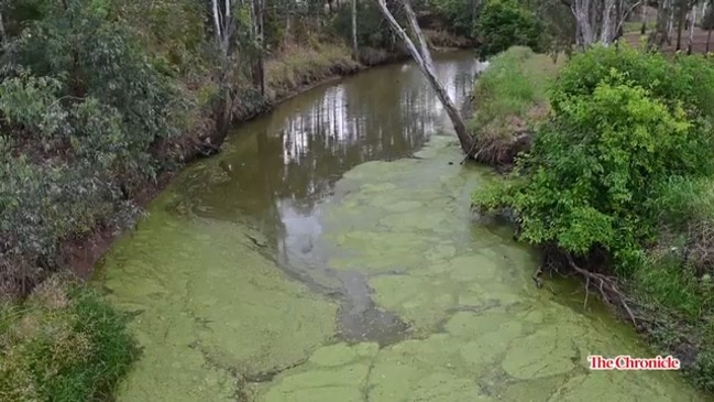 Oakey residents frustrated with Toowoomba Regional Council lack of management of creek