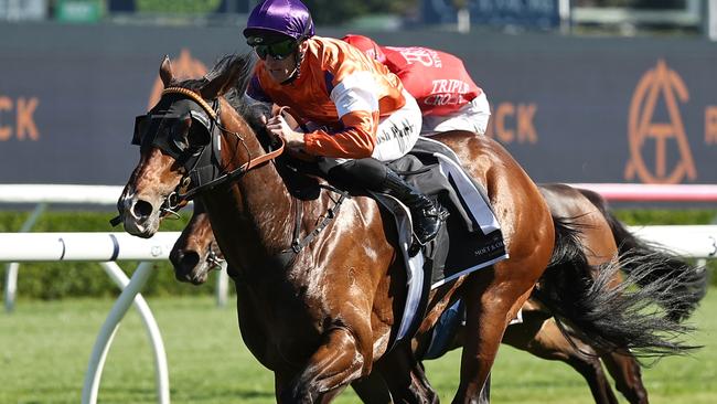 SYDNEY, AUSTRALIA - OCTOBER 26: Josh Parr riding El Castello   wins Race 7 Moet & Chandon Spring Champion Stakes during "Spring Champion Stakes Day" Sydney Racing at Royal Randwick Racecourse on October 26, 2024 in Sydney, Australia. (Photo by Jeremy Ng/Getty Images)