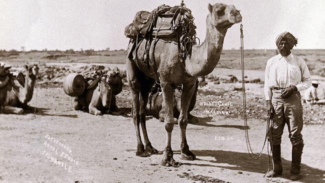 Cameleer Dervish Bejah embarks on the Calvert expedition in 1896. Picture: AFP/State Library of South Australia