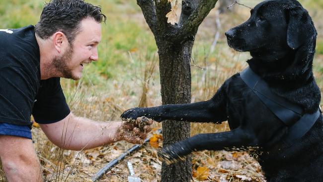 Jayson Mesman and one of his well-trained truffle hunters, Samson, find a tasty morsel. Pic: Lean Timms