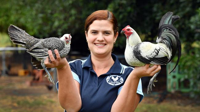 Secretary of the Hervey Bay Poultry Club Sonja Park with a pair of Bantam Old English Game Silver Quills. Photo: Alistair Brightman