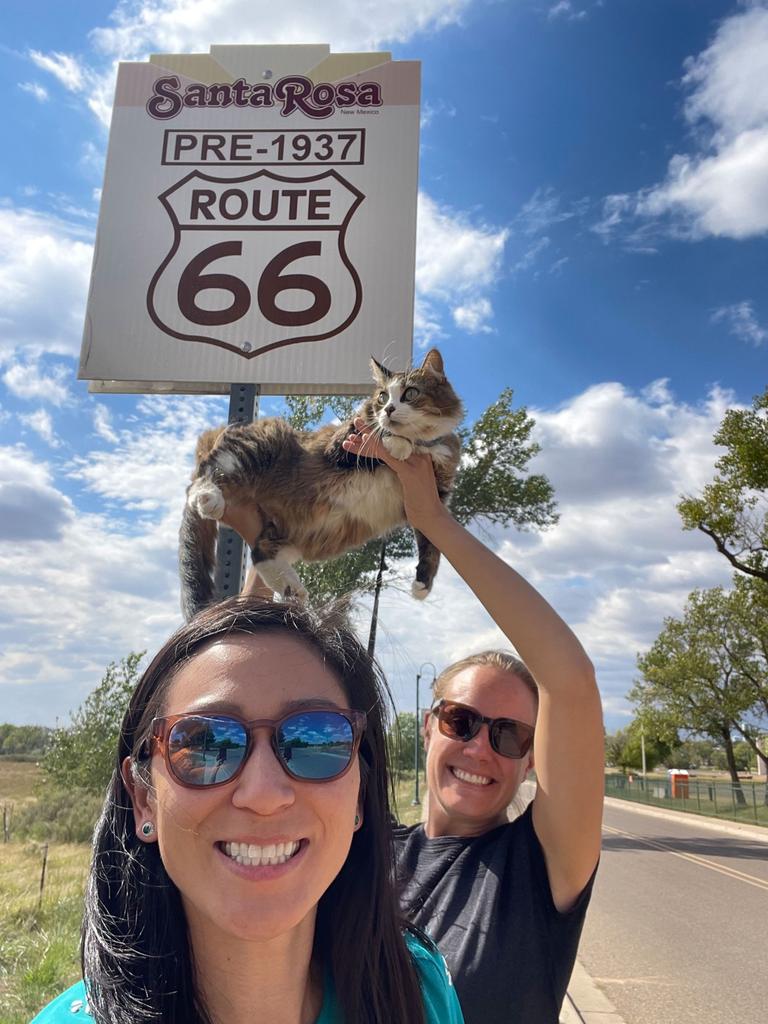 She gets walked with a harness and they have a travel-sized litter box for her. Picture: Caters News Agency