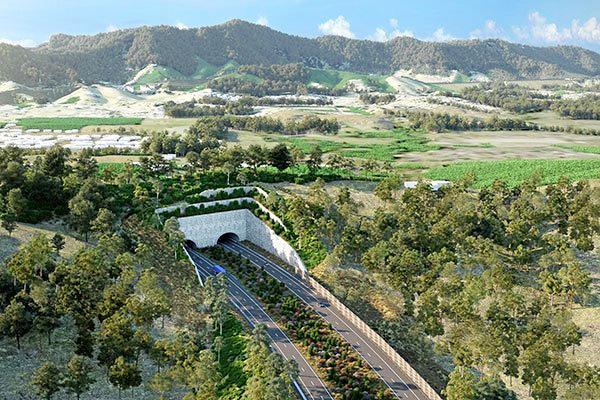 An artist impression of the land bridge proposed for Roberts Hill in the concept plans released by the RMS.