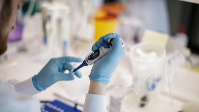 A researcher works on a vaccine against coronavirus at a lab in Copenhagen, Denmark. Picture: AFP