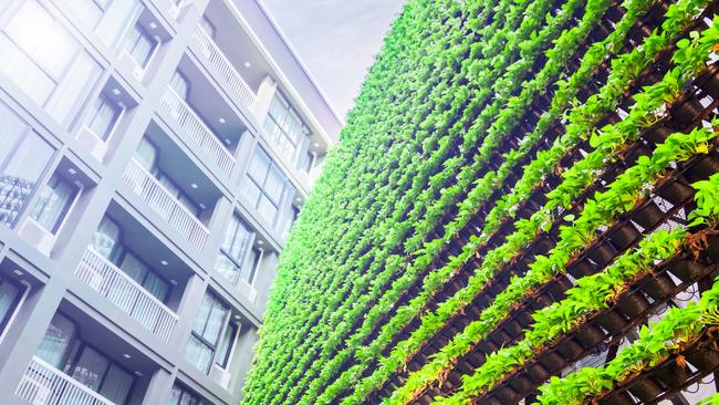 Vertical Garden Ã¢â‚¬â€œ Green Wall Ã¢â‚¬â€œ  BioWall