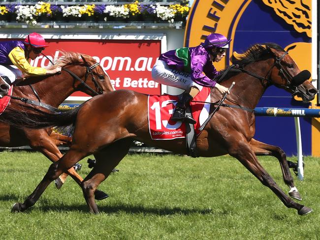 Smart youngster Sacred Eye lines up in the $1 million ATC Australian Oaks. Picture: Hamish Blair