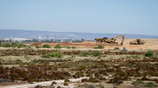 Undeveloped land at Gillman, seen from the Grand Trunkway.