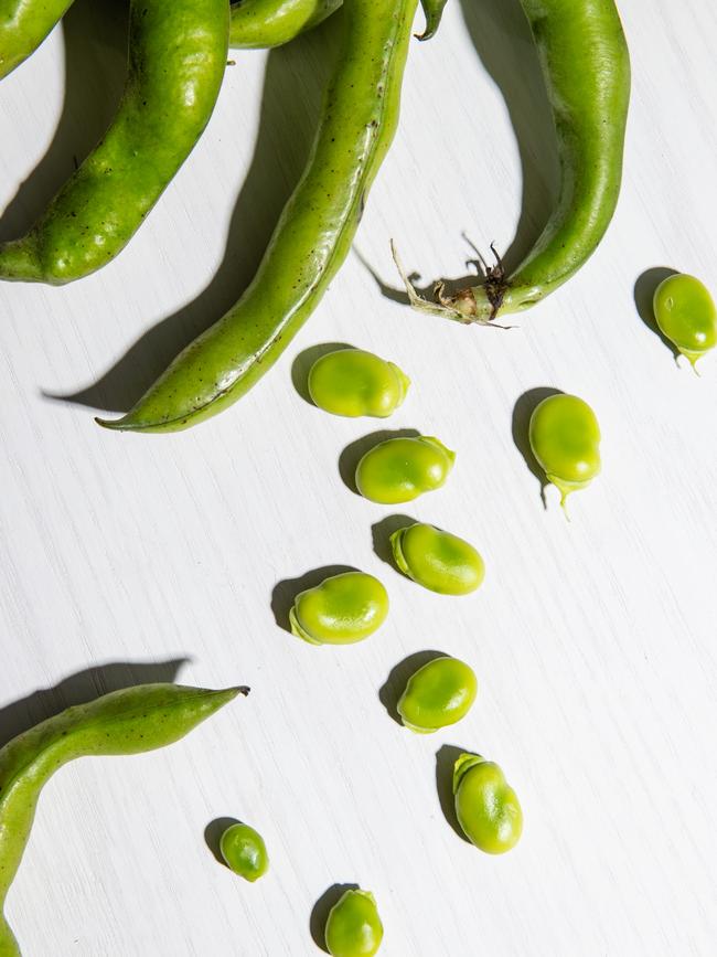 Broadbeans. Picture: Nikki To