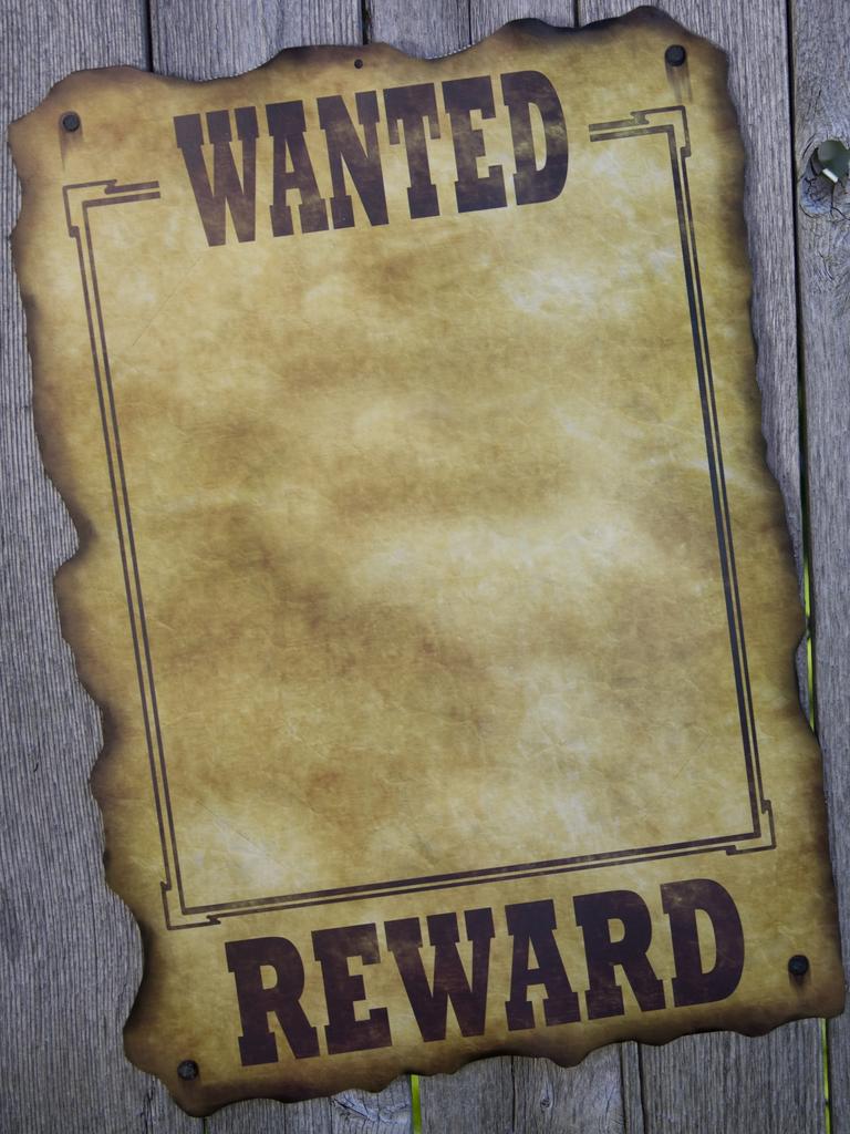 Create your own wanted poster.