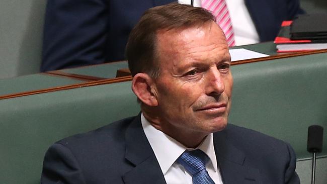 Tony Abbott in question time. Picture: Kym Smith