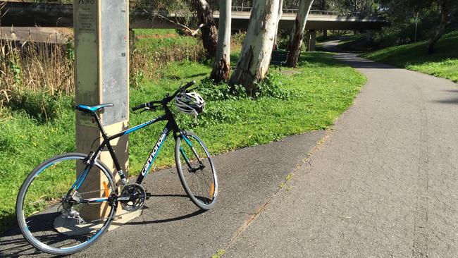 The popular Linear Park Trail winds along the River Torrens. Picture:Supplied