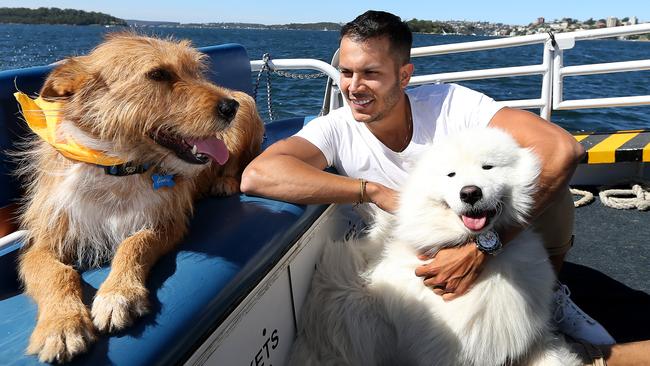 Small business owner Gustavo Montagut with clients Bodhi left) and Ghost on a Harbour cruise. Picture: Toby Zerna