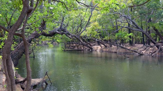 A search is under way for a 65-year-old Laura Kevin Darmody, believed to have been taken by a crocodile at the Kennedy Bend camping area in Lakefield National Park, 340km north west of Cairns. The last crocodile fatality in Queensland was at Hinchinbrook Island in February 2021. Picture: Supplied