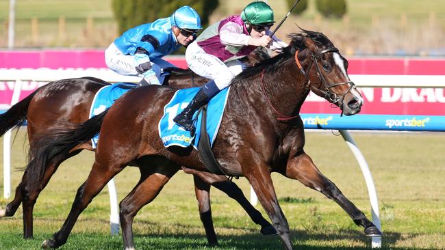 Manolo Bling, ridden by Ethan Brown, wins the Sportsbet Jockey Watch Handicap at Caulfield. Picture: Scott Barbour / Racing Photos