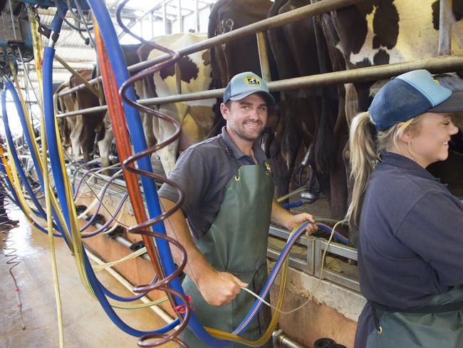 The Chandler family supply milk direct to Udder Delights. Simon and Jess are pictured in the dairy.