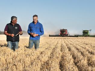 Victorian barley growers to supply Aussie beer brands