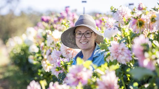 NEWS: Flower farmer Lorelie Merton at BungareeFlorelie Seasonal Flowers is a flower farm owned by Lorelie Merton at Bungaree. Florelie grows Dahlia's and due to a recent frost, Lorelie is feeding some of the damaged flowers to her sheep. Luckily the frost came post Valentines day and wasn't bad enough to wipe out the whole lot.