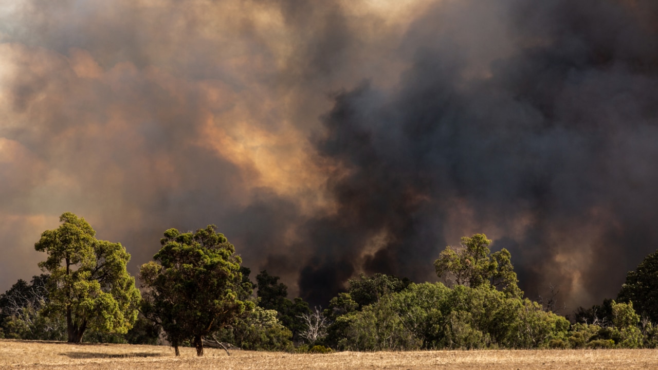 Ten homes lost from devastating bushfire in north Perth