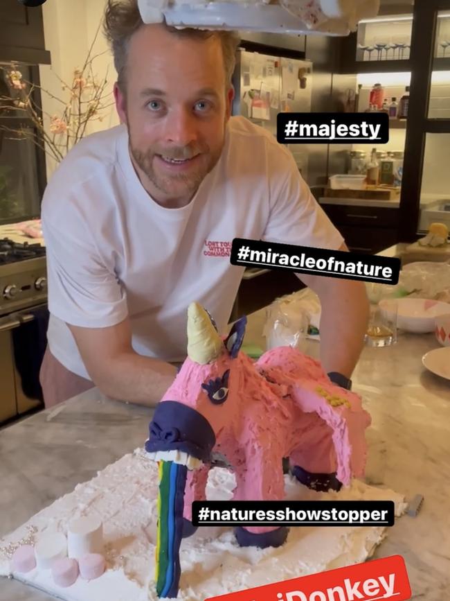 Hamish Blake takes on the challenge of making his daughter Rudy's 4th birthday cake – a flying unicorn under a floating cloud – with wings that move, of course.