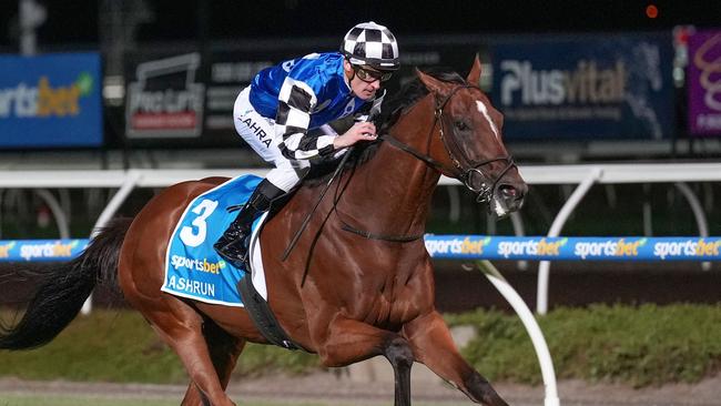 Ashrun won the Pakenham Cup last start. Picture: Scott Barbour/Racing Photos via Getty Images