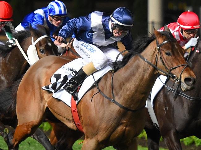 MELBOURNE, AUSTRALIA - SEPTEMBER 29:  Kerrin McEvoy riding She Will Reign (L) wins Race 7 Moir Stakes during Melbourne Racing at Moonee Valley Racecourse on September 29, 2017 in Melbourne, Australia.  (Photo by Vince Caligiuri/Getty Images)