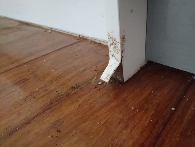 The couple found countless defects on the new extension. Picture: Supplied