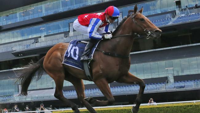 Fox Fighter is ready to cause a minor upset in the Takeover Target Stakes at Gosford on Saturday. Picture: Getty Images