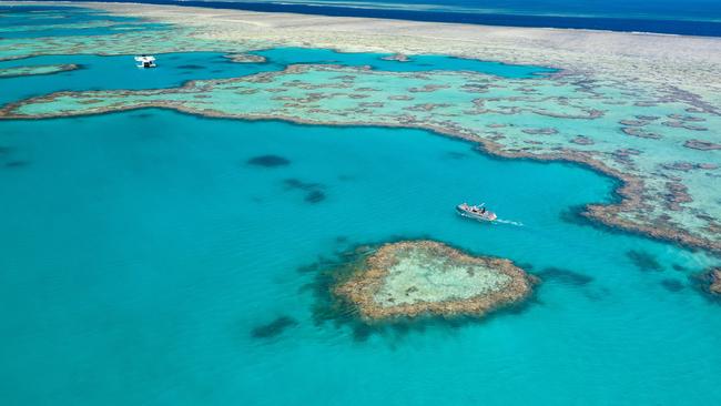 An aerial view of the world-famous Heart Reef in the Whitsundays. Picture: Brooke Miles/Riptide Creative