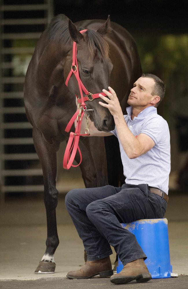 Mystic Journey and trainer Adam Trinder are usually inseperable. Picture: Micheal Klein