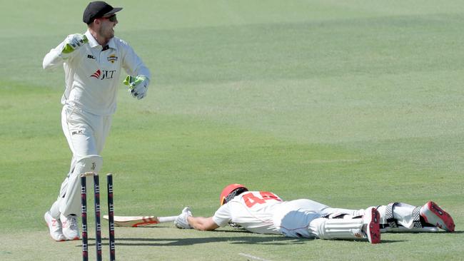 RUN OUT OF TOWN: Western Australian wicketkeeper Josh Inglis celebrates the run out of diving Redback Nick Winter. Picture: RICHARD WAINWRIGHT (AAP).