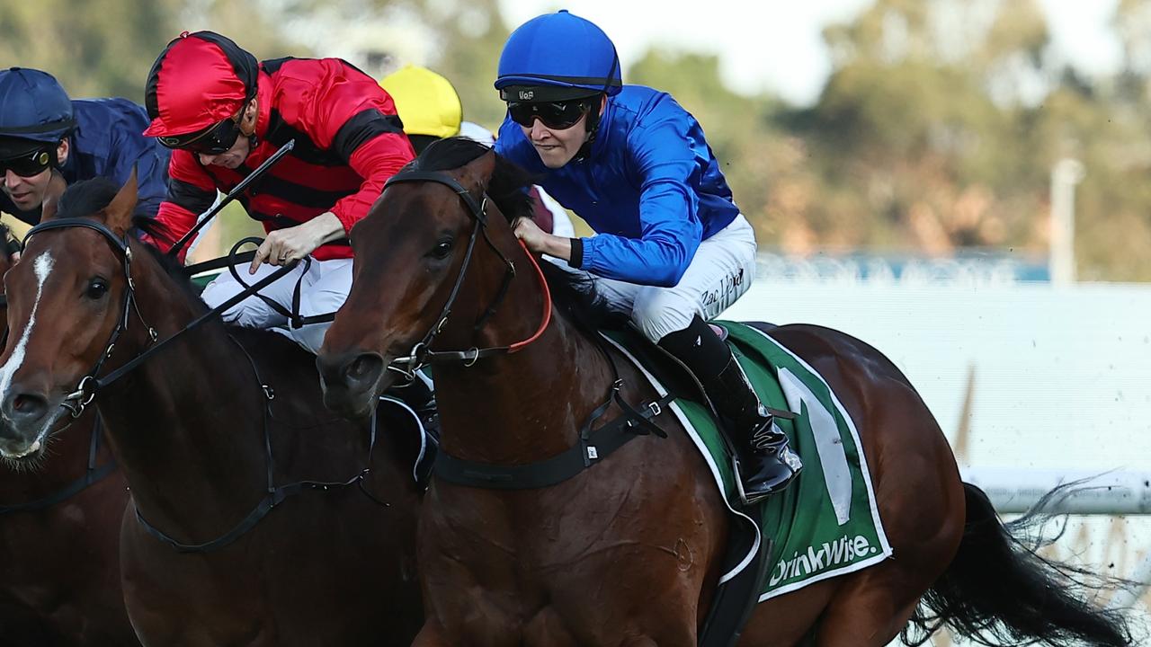 Traffic Warden will run in Godolphin’s slot in The Everest. Picture: Jeremy Ng/Getty Images