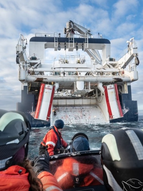 Allankay crew on the Tempest with one of the krill supertrawlers. Picture: Flavio Gasperini