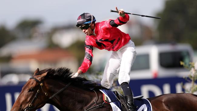 AUCKLAND, NEW ZEALAND - MARCH 08: Willydoit ridden by Mick Dee wins the Trackside NZ Derby during Champions Day at Ellerslie Racecourse on March 08, 2025 in Auckland, New Zealand. (Photo by Phil Walter/Getty Images)