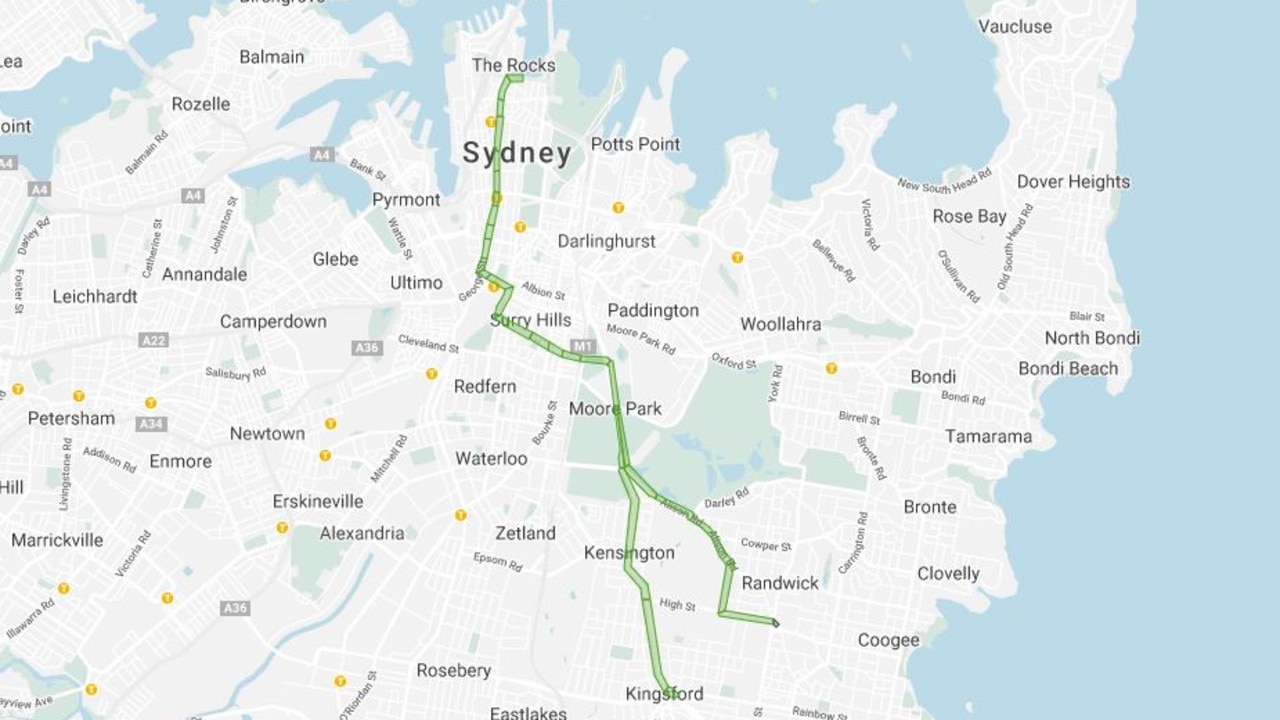 The route branches off to Randwick and Kingsford. Picture: NSW Government