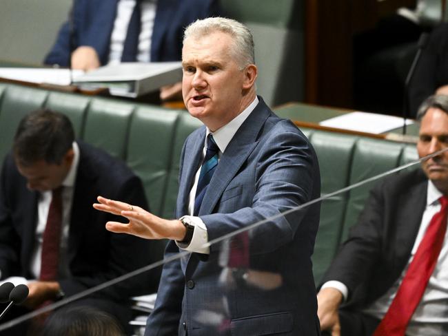 Employment Minister Tony Burke has accused Svitzer of ‘economic vandalism’. Picture: AAP Image/Lukas Coch