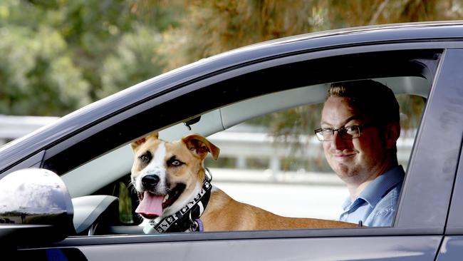 This dog is wearing a GPS tracking collar. If you’re worried your dog might take off when holidaying away from home, it could be a worthwhile investment.