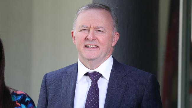 Labor leader Anthony Albanese. Picture: Annette Dew