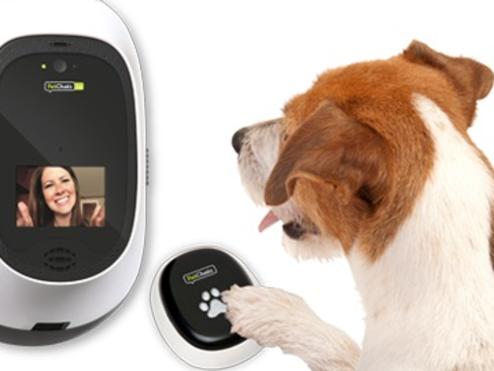 PetChatz HD with PawCall Image supplied