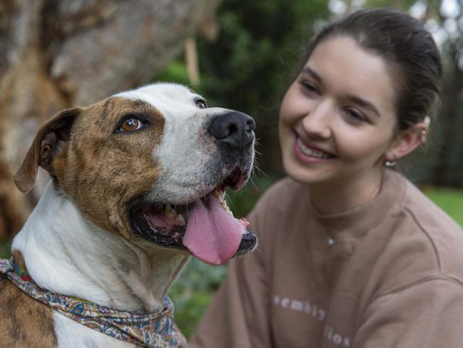 Louisa Fitzgerald with Lucius who's been on adoption row with the RSPCA for 250 days Picture: Justin Lloyd.