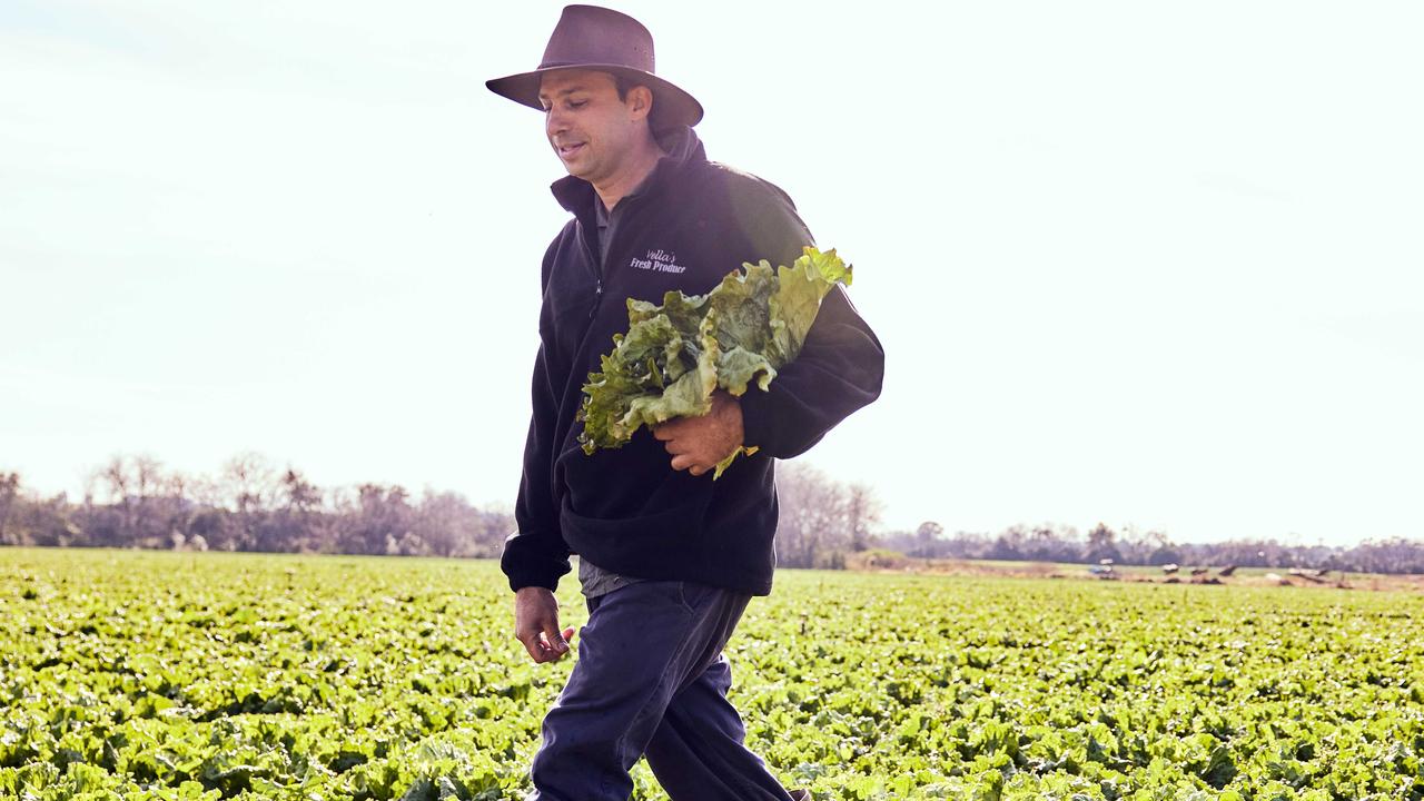 Matt Vella grows lettuce for McDonald's at his family farm in NSW. Picture: Supplied