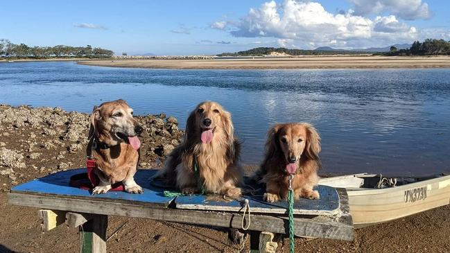 Suns out, tongues out: Thanks to Alyke Norris for this photo of "the three stooges".