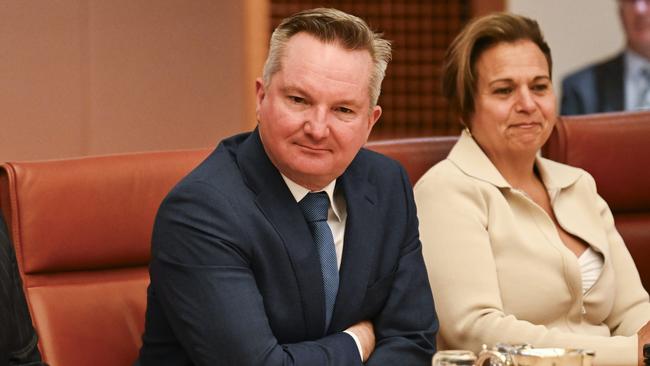 Energy and Climate Change Minister Chris Bowen said Australia was ‘by and large on track’ to meeting its 2030 emissions reductions target. Picture: NewsWire/ Martin Ollman