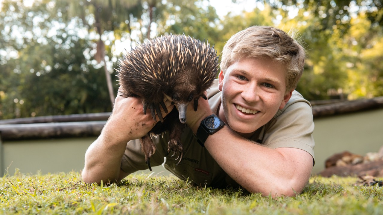 Robert Irwin touts ‘big news’ at Australia Zoo on social media