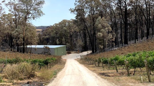 Beal &amp; Co winery and vineyards after the Cudlee Creek bushfire. Picture: Callum Beal