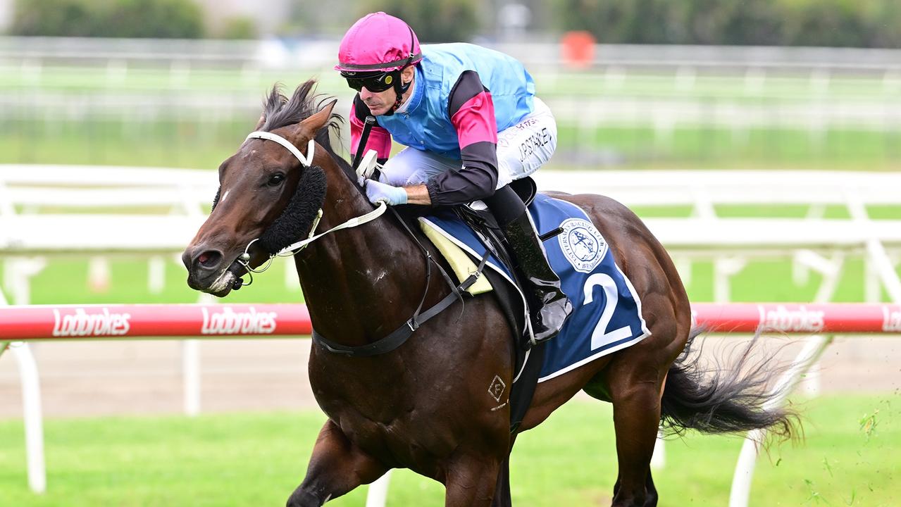 Talented colt on right track for Jewel target