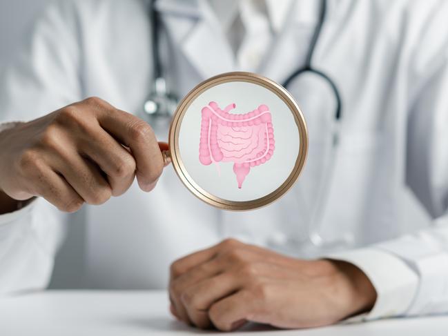 Doctor holding Magnifier focus to stomach with intestine virtual icon, probiotics food for gut health, intestine cancer, bowel inflammatory. Healthy care concept.