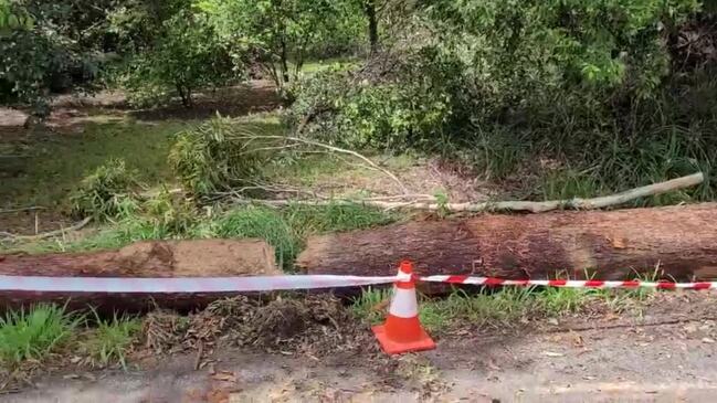 Storm damage Palmwoods