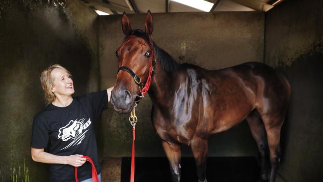 Alligator Blood pictured with his handler Patricia Gesler at Rosehill before he raced in the Golden Eagle. Picture: Sam Ruttyn